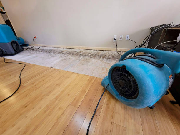 Professional Water Damage Repair technician working in Venice, CA